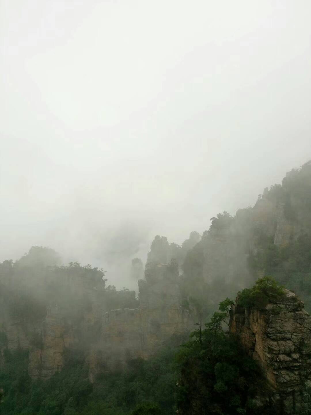 微信图片_20170906170347.jpg