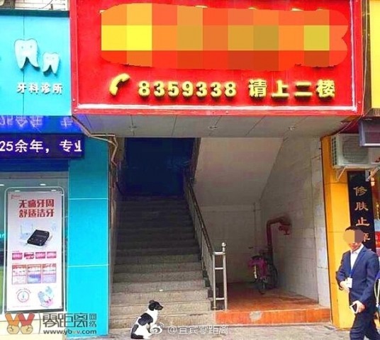 101044v0vttv875xz4478x.jpg.thumb.jpg