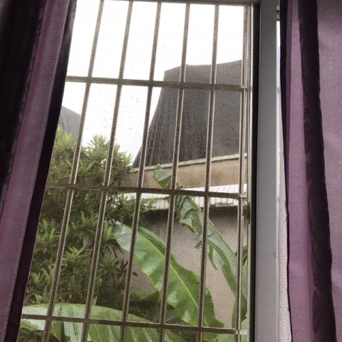 111318zp50qdpzk579ta9f.jpg.thumb.jpg