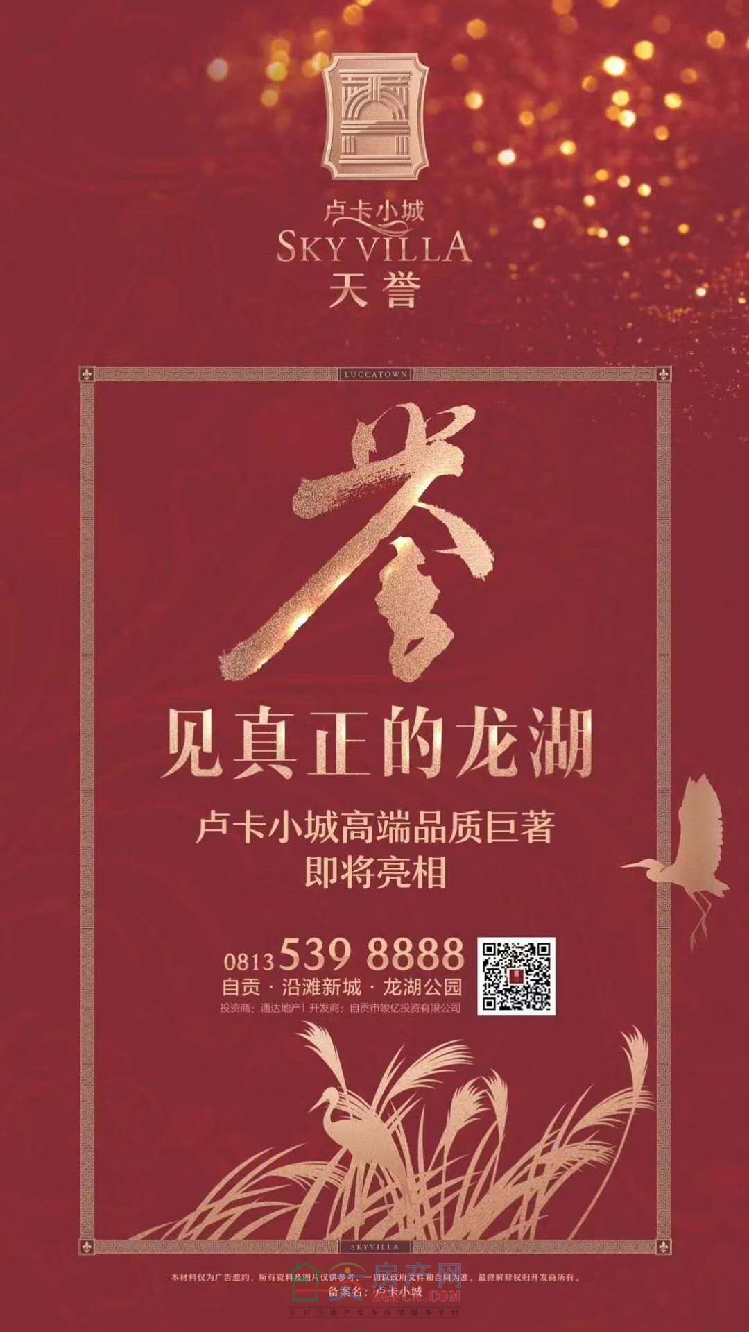1014530309f52807f54619.jpg
