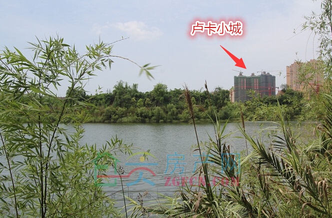 181554065d63aff47d7046.jpg
