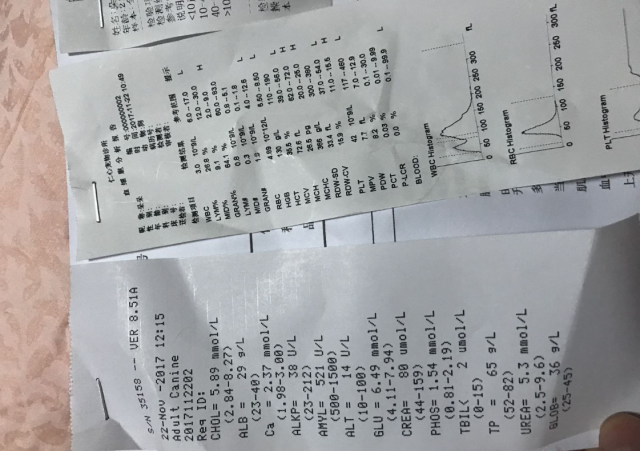 174550py4alwk4oyylhs42.png.thumb.jpg