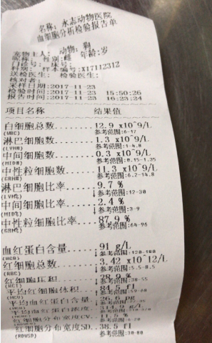 174554lykkwmkxwws6662p.png.thumb.jpg