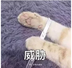 101738zjnjmmnrn6mjn4tz.png.thumb.jpg