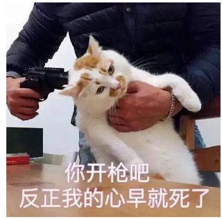 101740svc1o9i9oh691hit.png.thumb.jpg