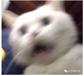 103325u1drqc6qmqjrvkdj.png.thumb.jpg
