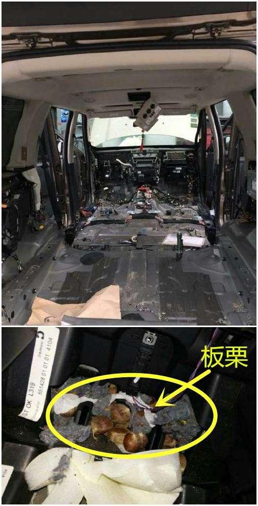 老鼠上车3.jpg