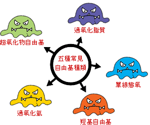 195c6026-791a-42d4-914d-4214abb4392e.jpg
