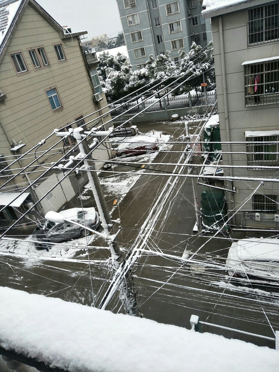 2018012618123590866208_960_1280.jpg
