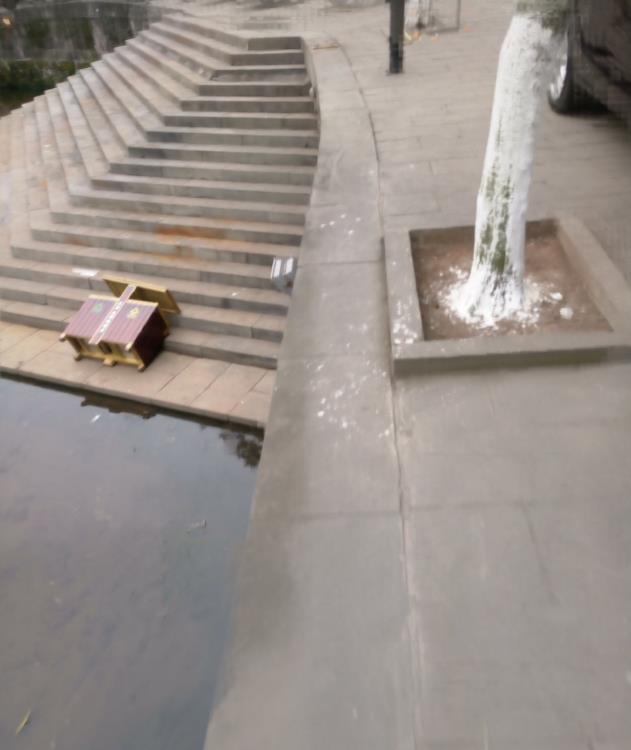 225.jpg