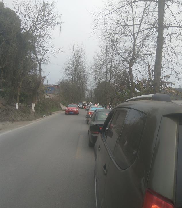 223.jpg