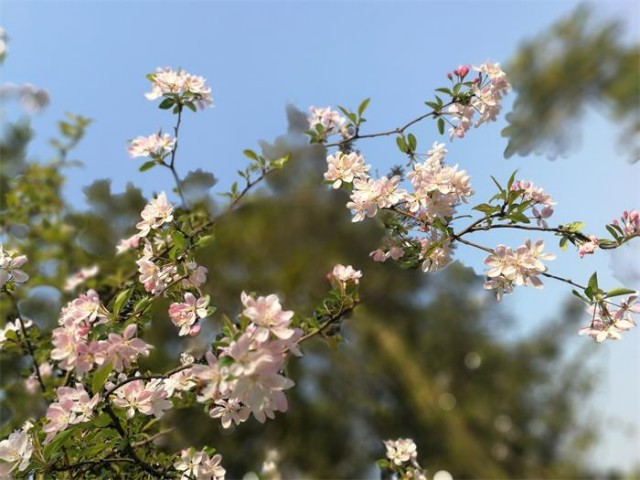 093720wt6kh9gqghk9hw55.jpg.thumb.jpg
