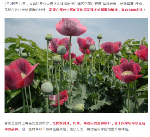 090609jcvgc62siiiccnt3.png.thumb.jpg