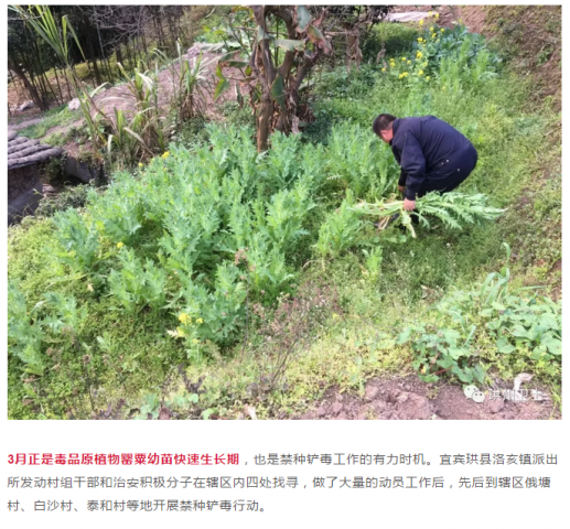 090610gs77zn3s51ww3633.png.thumb.jpg