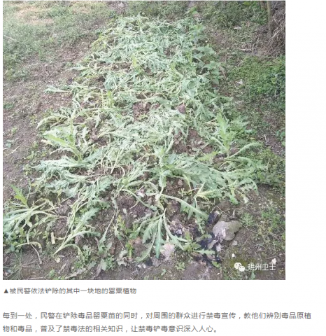 090613mpap4pefaulwulwa.png.thumb.jpg