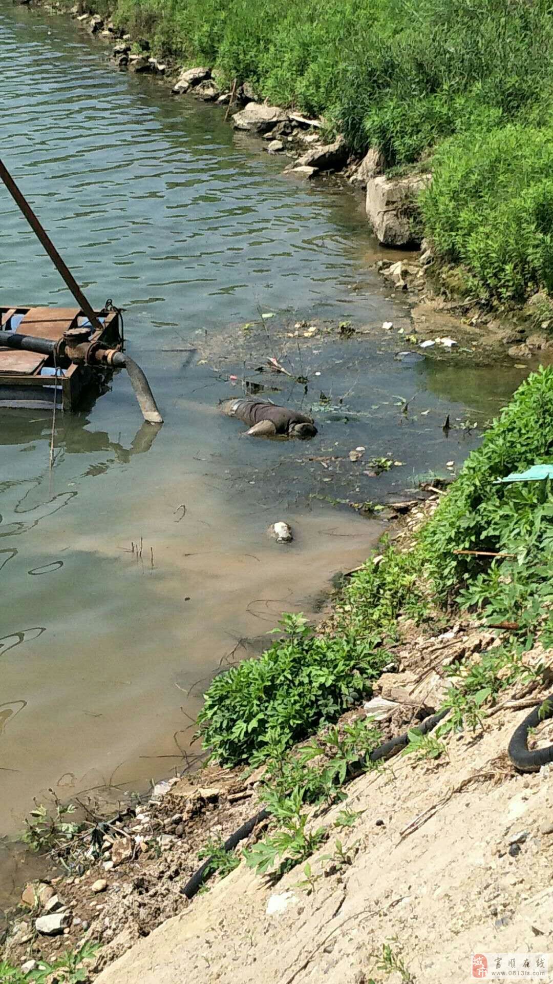 2018041611295974553162_1080_1920.jpg