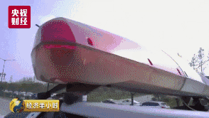 105133zdxcjdxchzrzxjhs.jpg