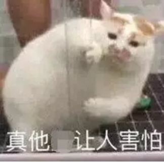 100002y1cthhazzgtgegm7.png.thumb.jpg