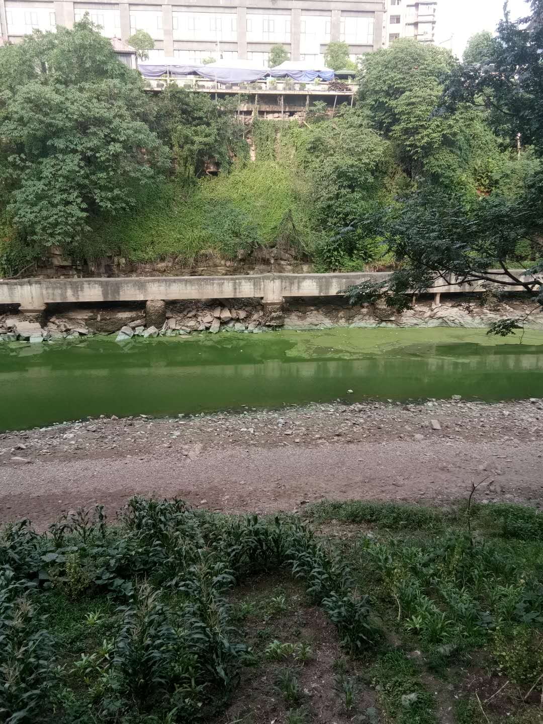 2018052117503245790242_1080_1440.jpg