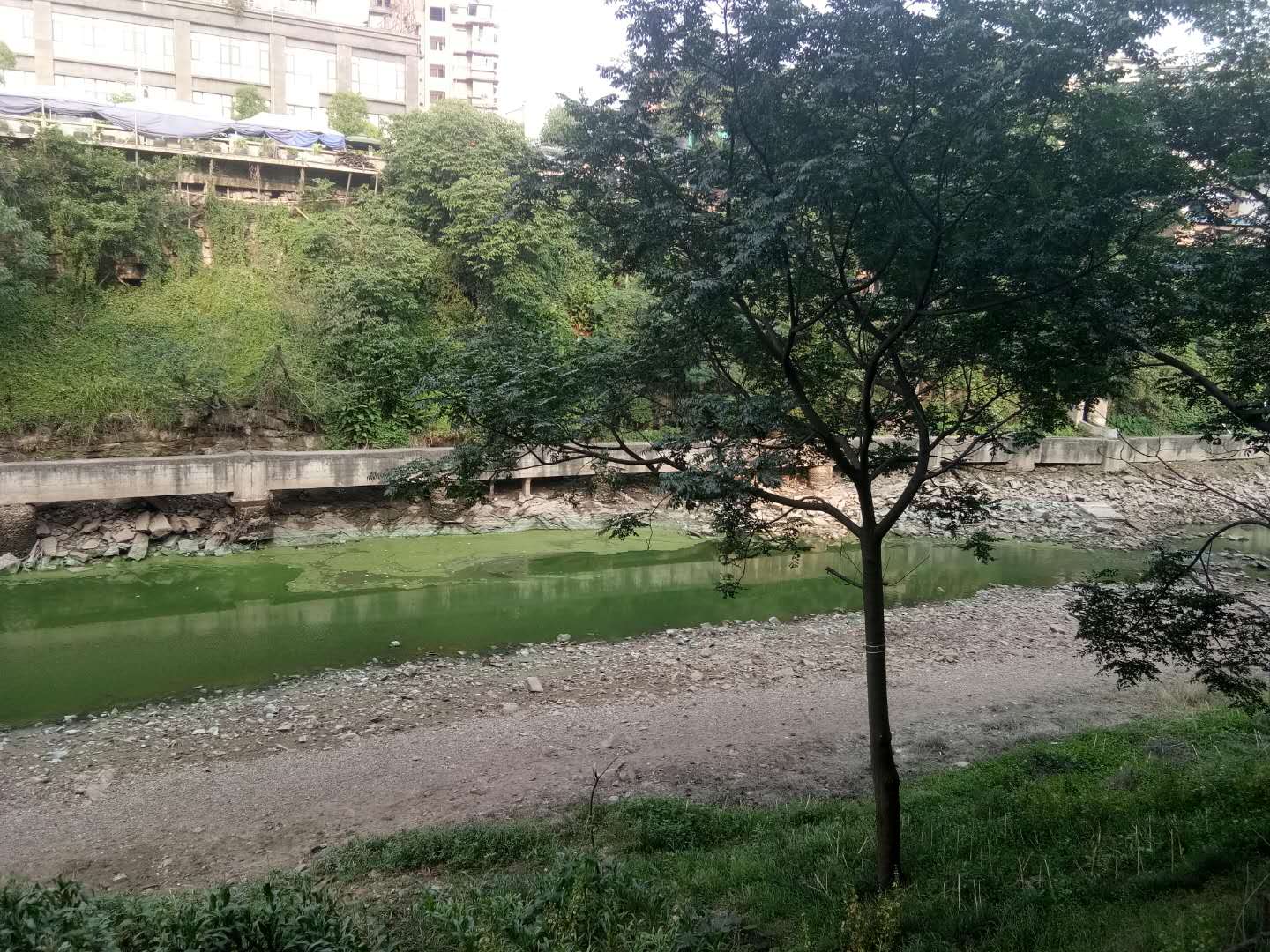 2018052117505641210083_1440_1080.jpg