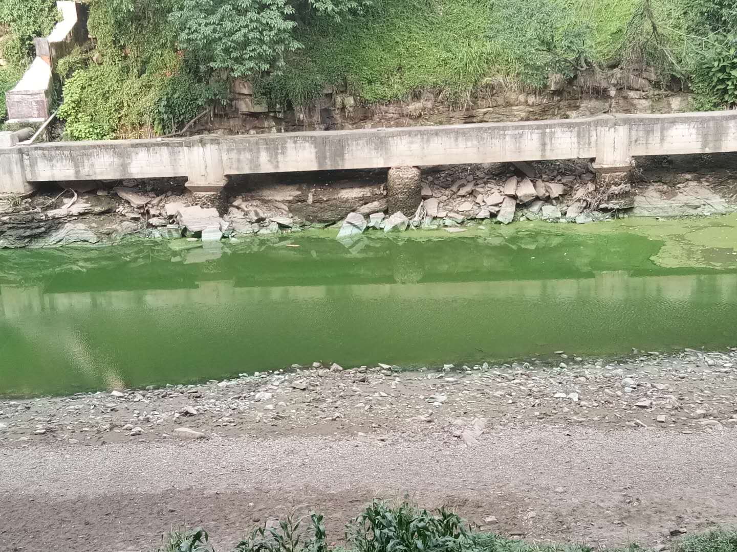 2018052117512420121262_1440_1080.jpg