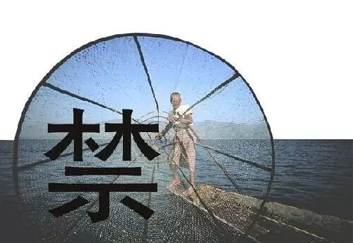 2018052517391587418646_497_342.jpg
