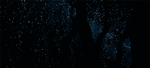 281434232e6953c3cd8928.jpg