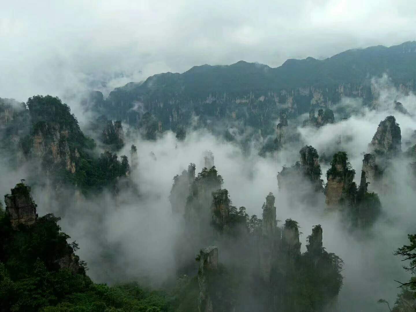 微信图片_20180531134844.jpg