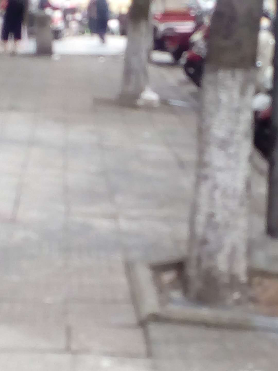 2018060309320406861203_960_1280.jpg