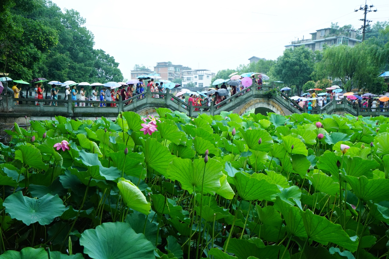 2018061613333681353894_1280_854.jpg