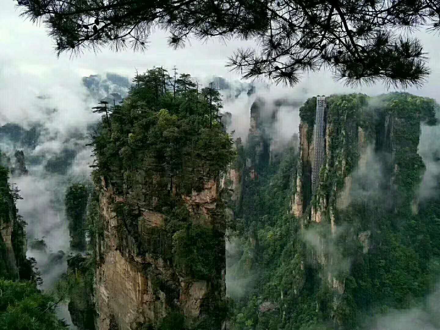 微信图片_20180619182233.jpg