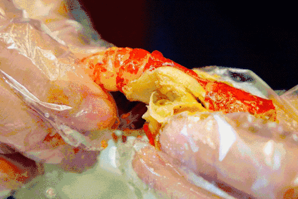 b55214dee5c9aa68e638072d4eb9aea6.gif