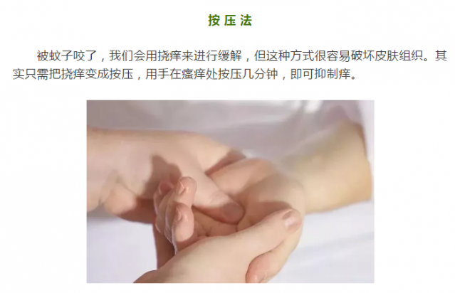 114216v9sr9hg5il959crh.png.thumb.jpg