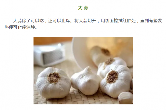 114220bkaan00nrkimitem.png.thumb.jpg