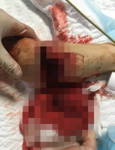 084952r7abgzugpkkuggjk.png.thumb.jpg