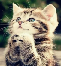 165653kr72sfpr2ppxp72w.png.thumb.jpg