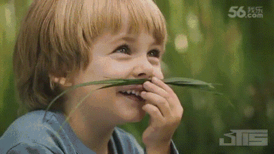 473e52b7900a69efd61fe702abfab83e.gif