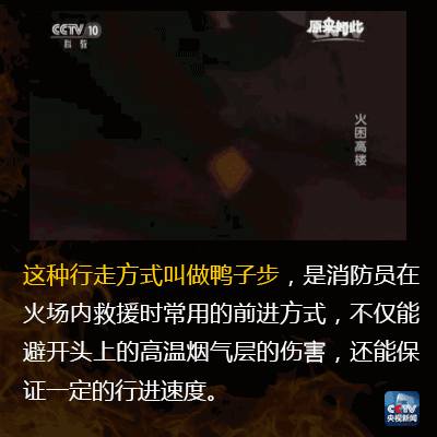 5741fe7ab269be0b318d47569bbd9a60.gif