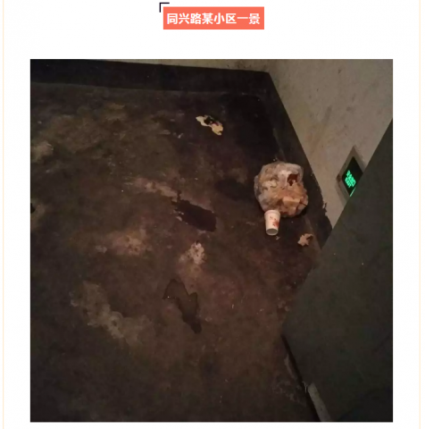 092046uqwqq6uyx7uq1ut0.png.thumb.jpg
