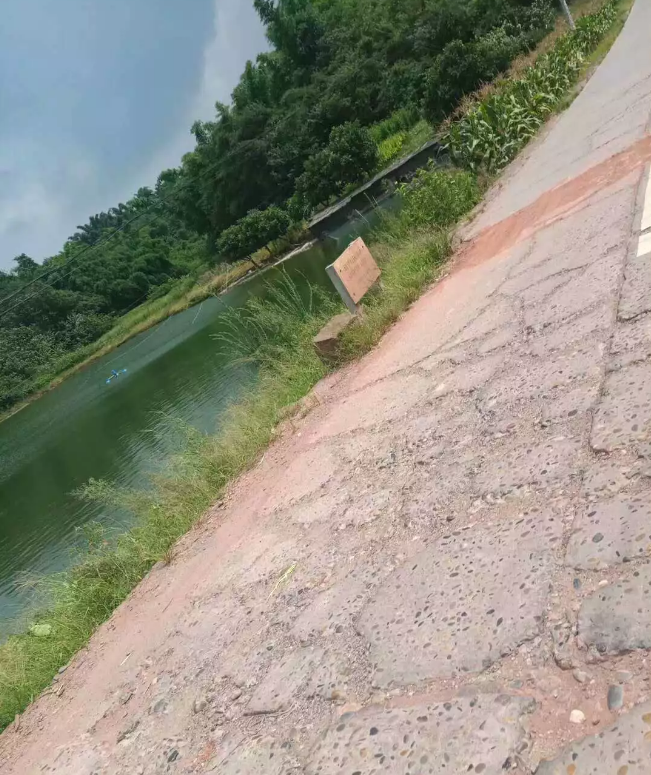 2018080811203994718926_651_775.jpg