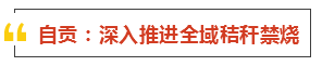 090302wrzdswss4nssjyss.png.thumb.jpg