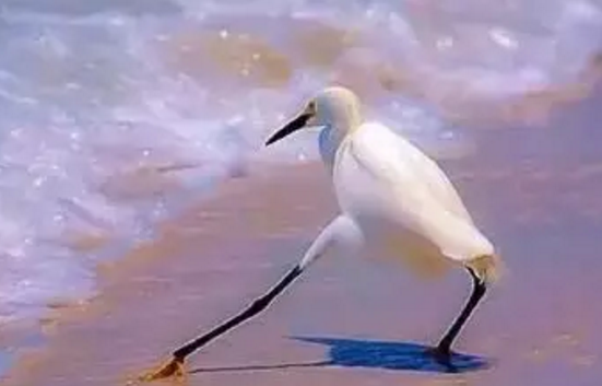 093111lhb6uoopx57pqbtd.png.thumb.jpg