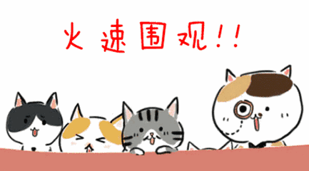 163803b4a645zs384bk8n6.jpg