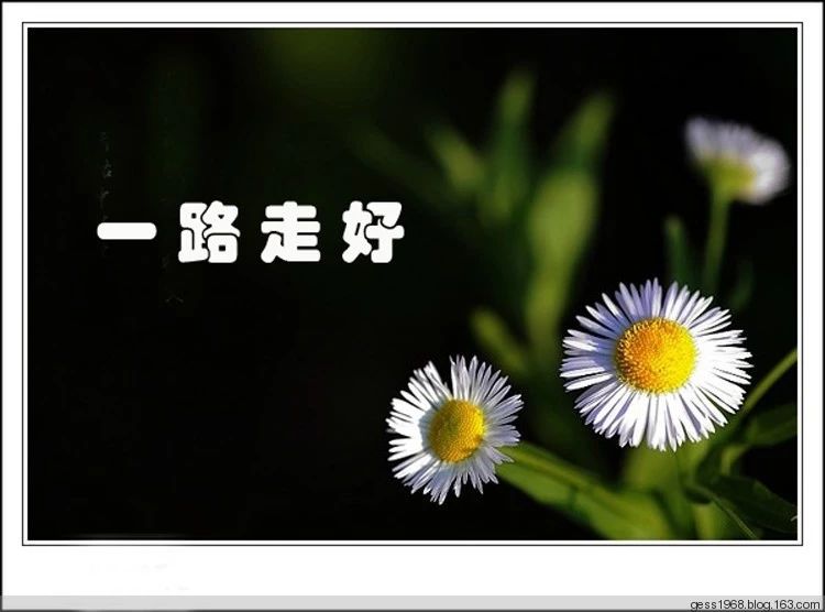 1f7acf6cff6dd8425a9de55db164b6c9.jpg