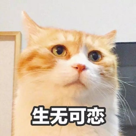 095043dsbhs57bs4zdcdvd.jpg.thumb.jpg