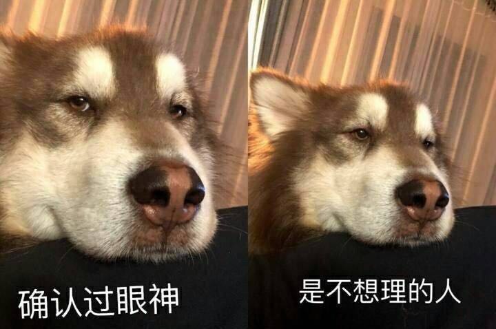 085721dgkr3bgk38k5qb58.jpg