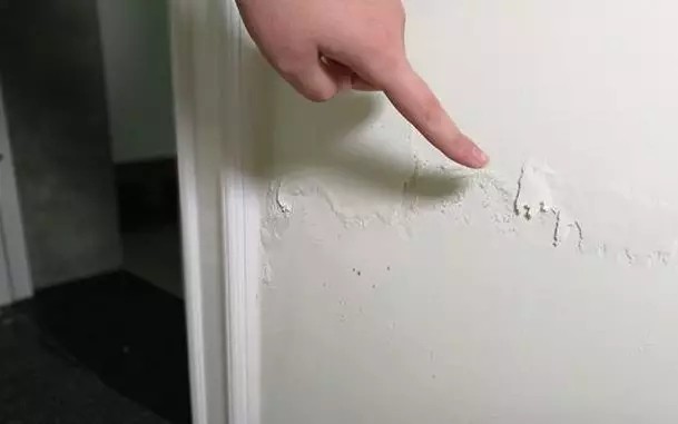 092401ydt6b5n25555zs2o.jpg.thumb.jpg