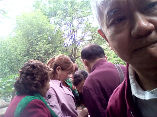 IMG_20181016_134157_841.jpg
