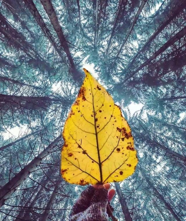 153968350797360e3f7e05a.jpg