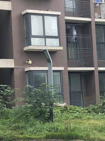090550xs8wdzgdqddugxdq.jpg.thumb.jpg